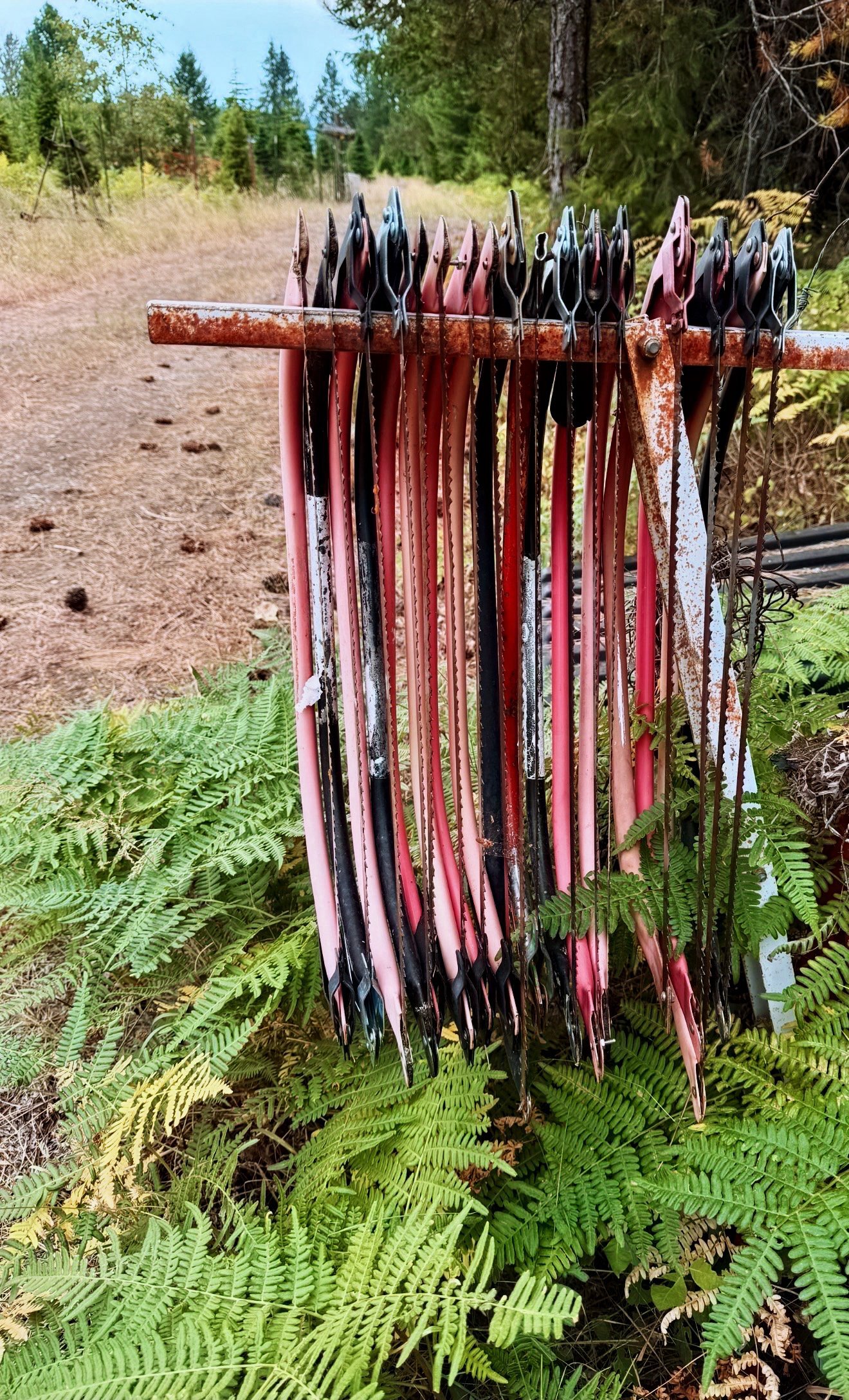 Generations of wreath saws at the founding farm